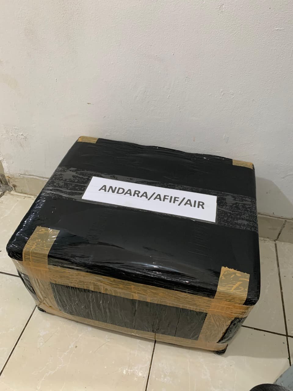 WhatsApp Image 2025-12-17 at 21.59.53